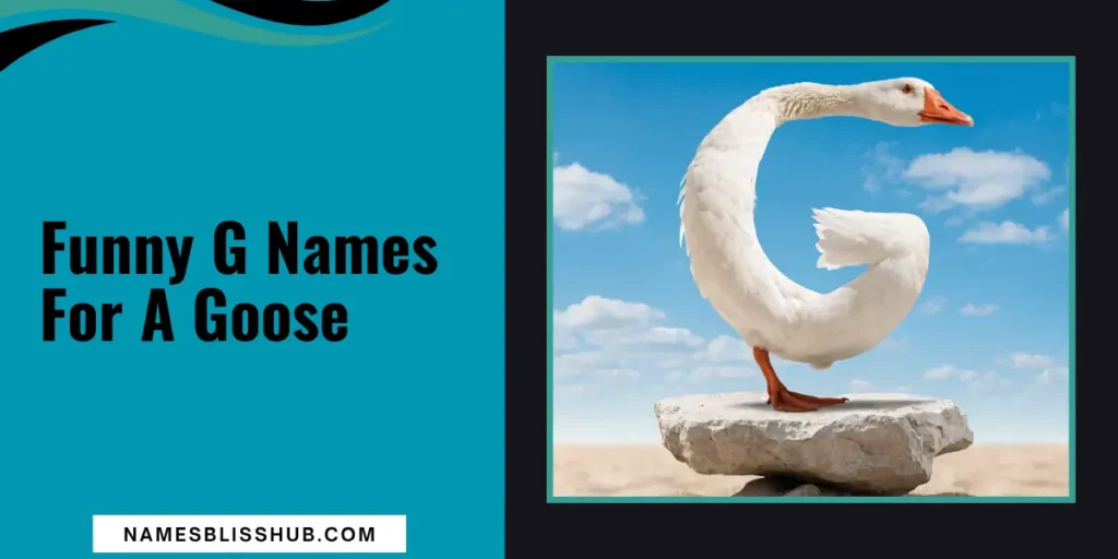 Funny G Names For A Goose