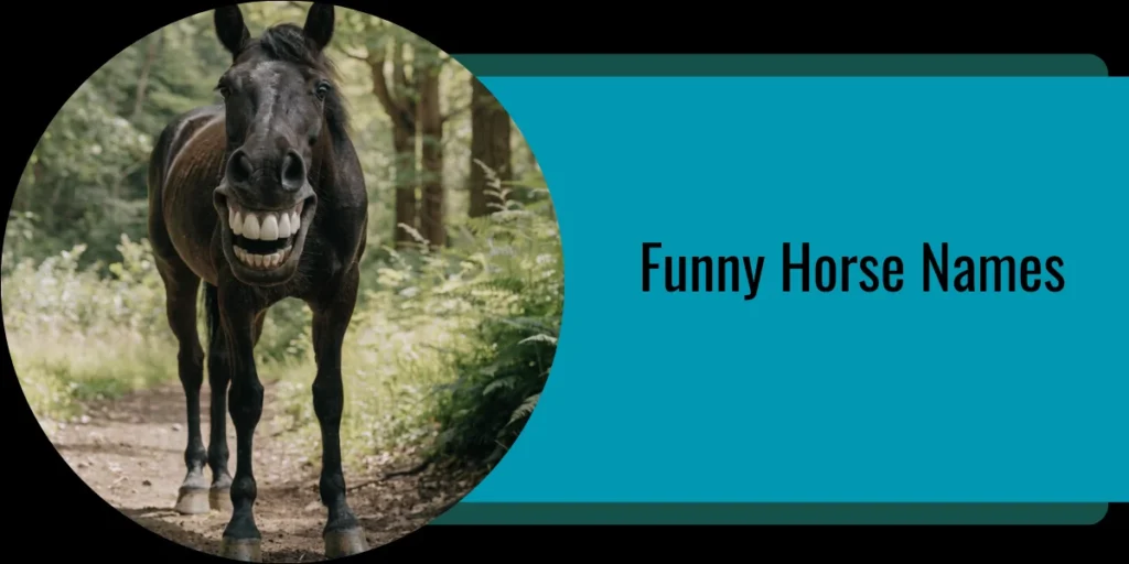 Funny Horse Names