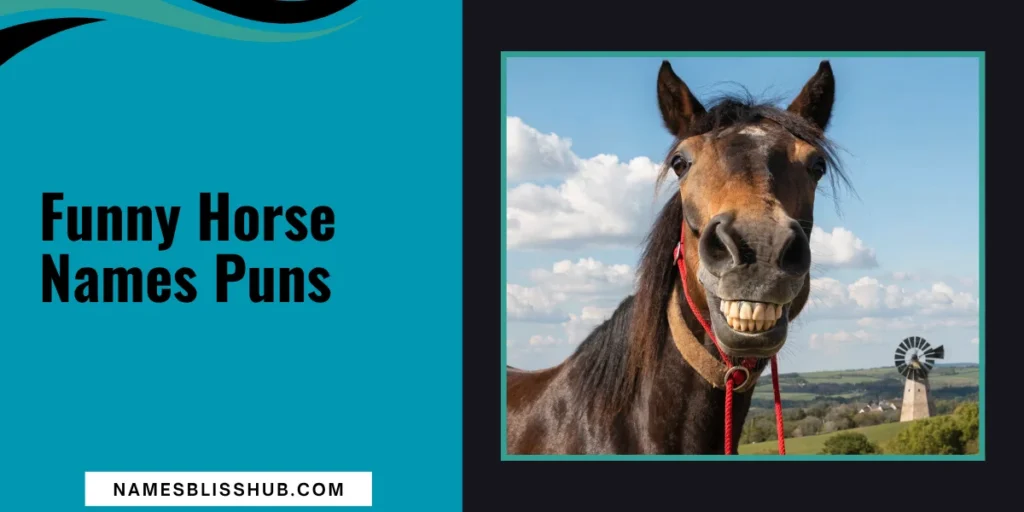 Funny Horse Names Puns