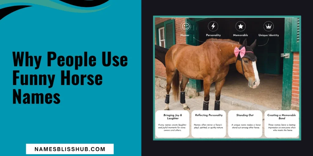 Why People Use Funny Horse Names