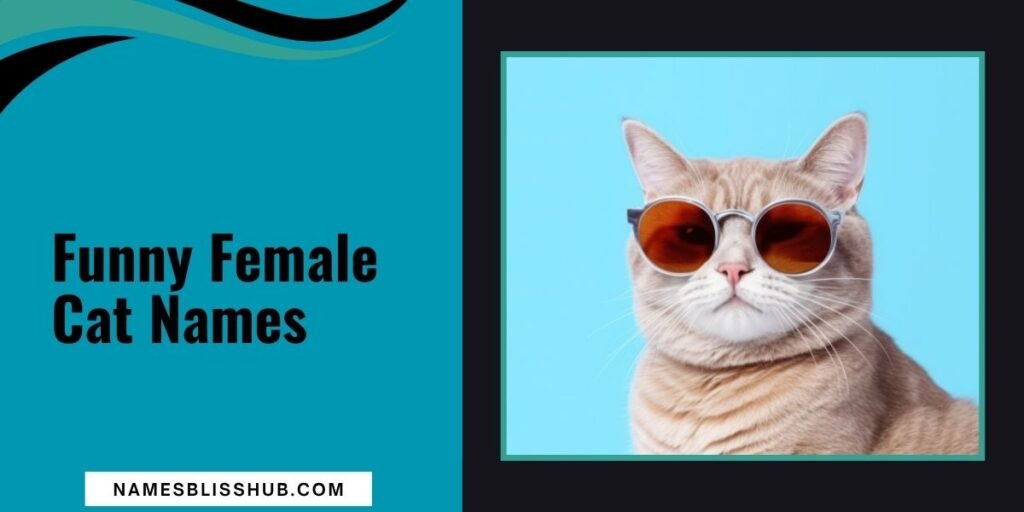 Funny Female Cat Names