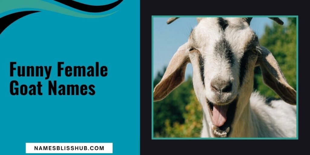 Funny Female Goat Names