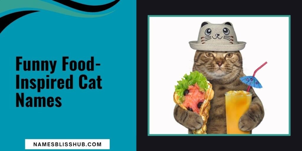 Funny Food-Inspired Cat Names