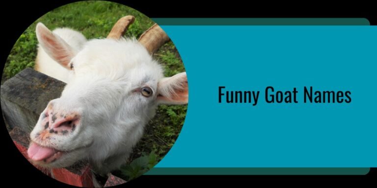 Funny Goat Names