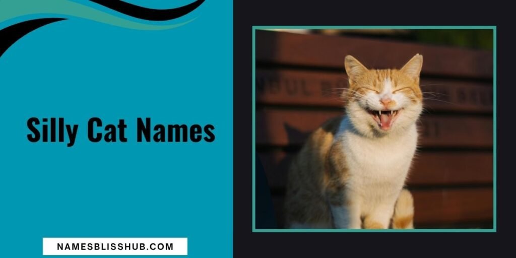 Silly Cat Names