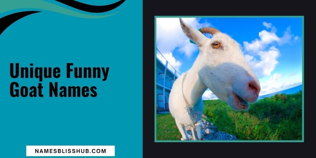 Unique Funny Goat Names