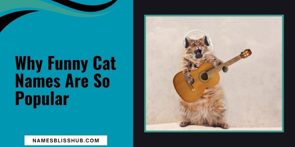 Why Funny Cat Names Are So Popular