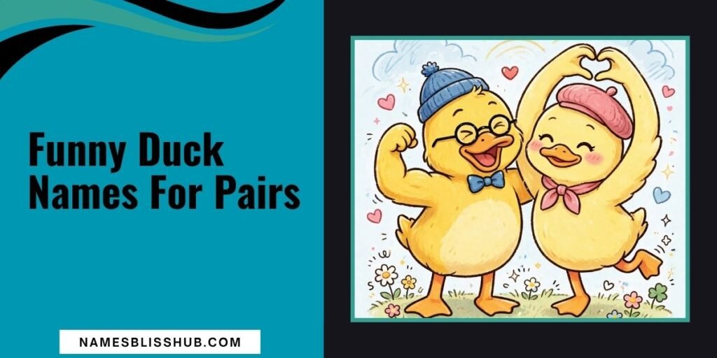 Funny Duck Names For Pairs 