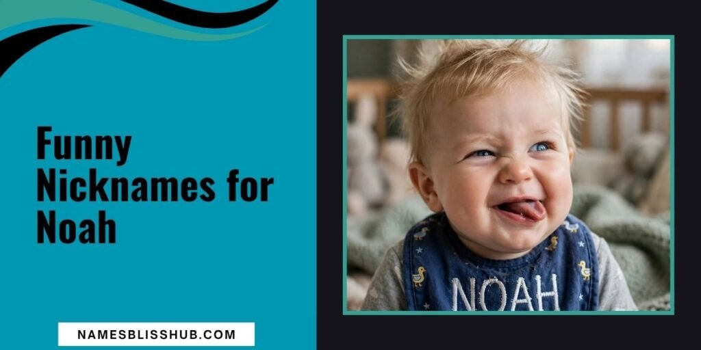 Funny Nicknames for Noah